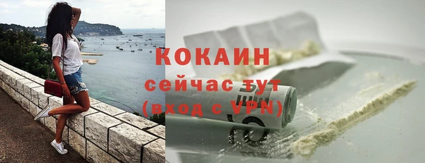 трава Арсеньев