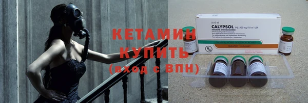 дмт Алзамай