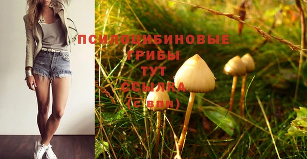дмт Алзамай