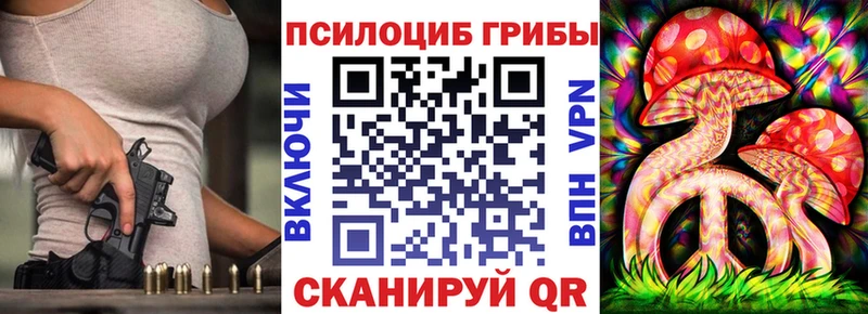 сколько стоит  Северо-Курильск  Псилоцибиновые грибы Psilocybine cubensis 